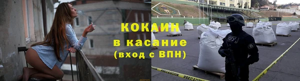 дмт Дмитриев