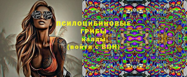 дмт Дмитриев