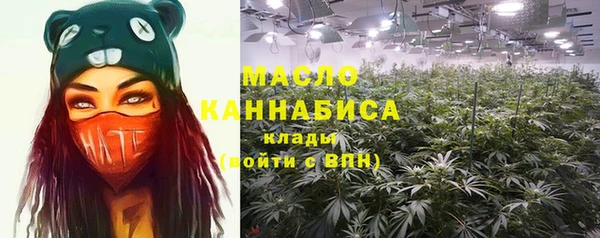 дмт Дмитриев